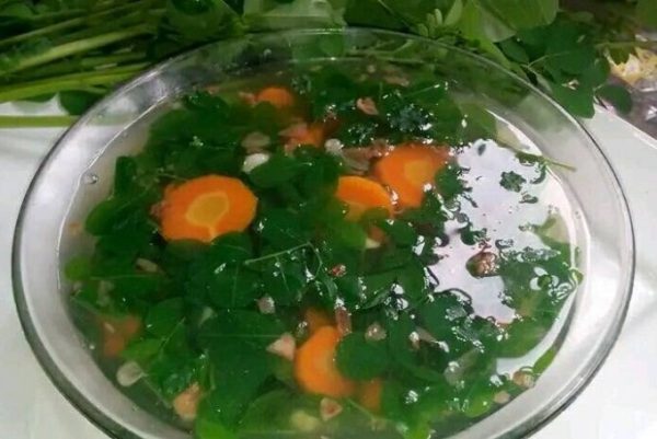 Sup Daun Kelor, Salah Satu Resep Masakan Rumahan di Indonesia